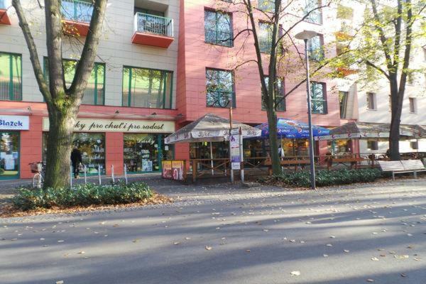 Apartment Archa Poděbrady Εξωτερικό φωτογραφία